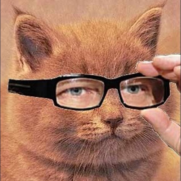 Meet your Posher, Ricky - Picture 1 of 1